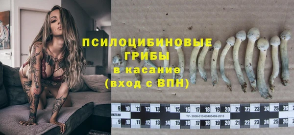 ешки Мегион