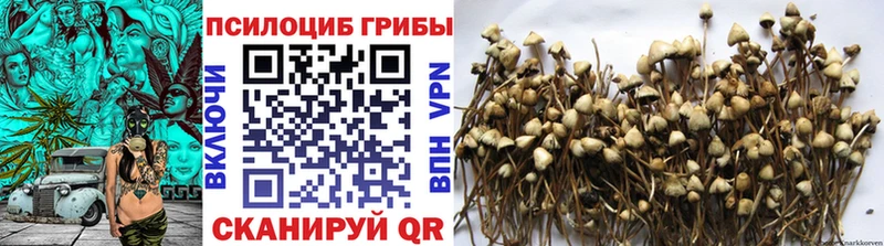 Псилоцибиновые грибы MAGIC MUSHROOMS  Ахтырский 